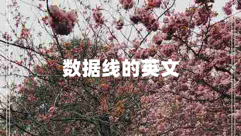 數據線(xiàn)的英文