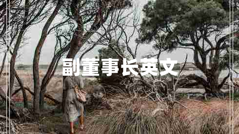 副董事長(cháng)英文