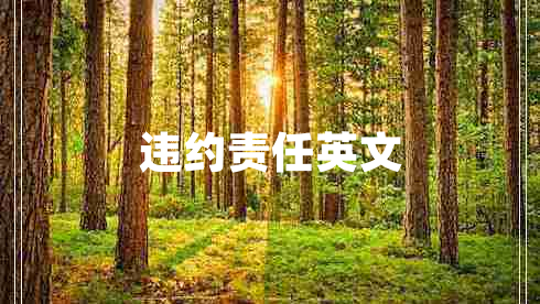 違約責任英文