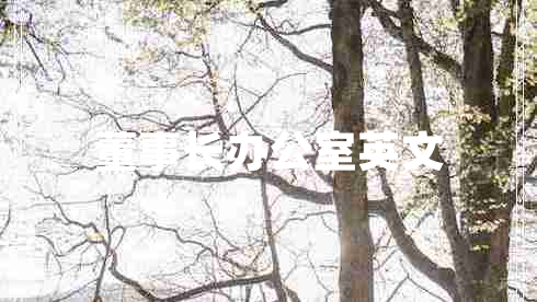 董事長(zhǎng)辦公室英文