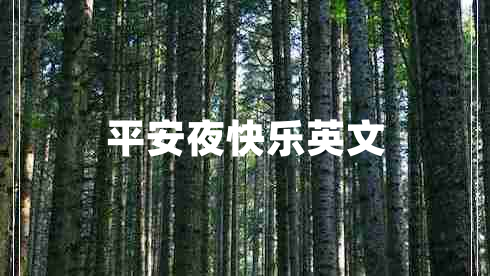 平安夜快樂(lè)英文