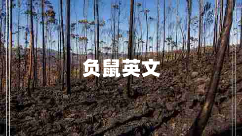 負鼠英文