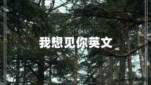 我想見(jiàn)你英文