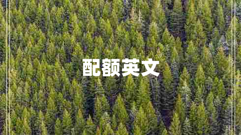 配額英文