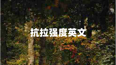 抗拉強度英文
