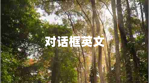 對話(huà)框英文