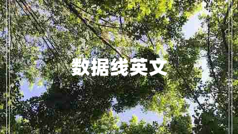 數據線(xiàn)英文