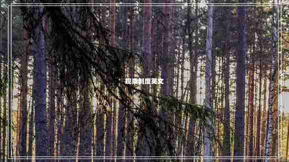 規章制度英文