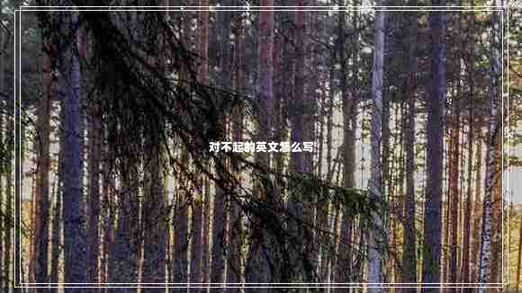 對不起的英文怎么寫(xiě)