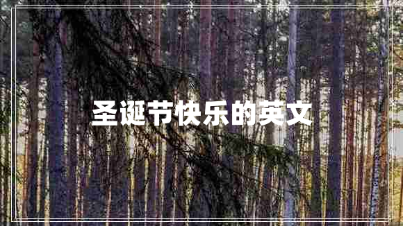 圣誕節快樂(lè )的英文