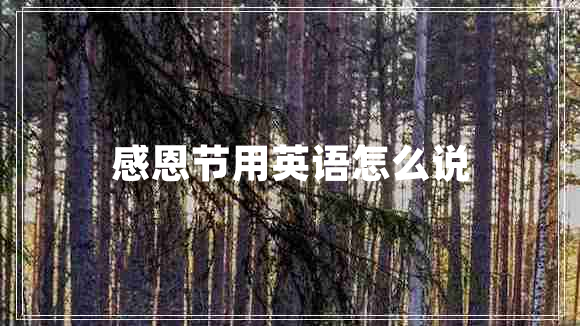 感恩節用英語(yǔ)怎么說(shuō)