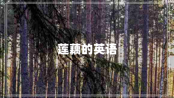 蓮藕的英語(yǔ)