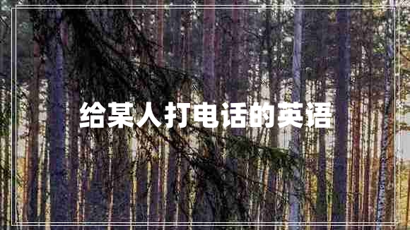 給某人打電話(huà)的英語(yǔ)
