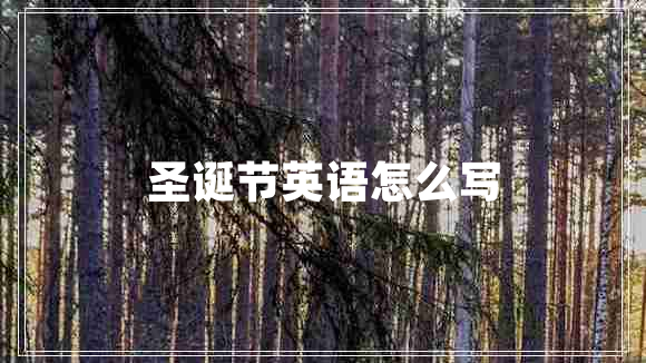 圣誕節英語(yǔ)怎么寫(xiě)