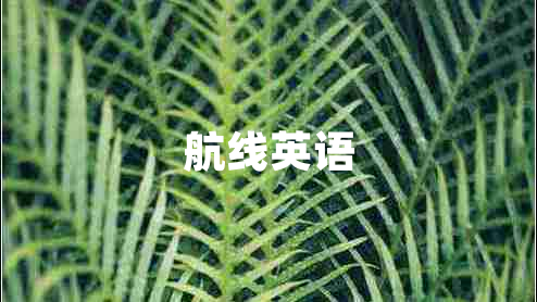 航線英語