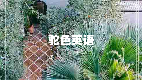 駝色英語(yǔ)