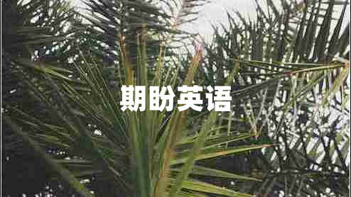 期盼英語