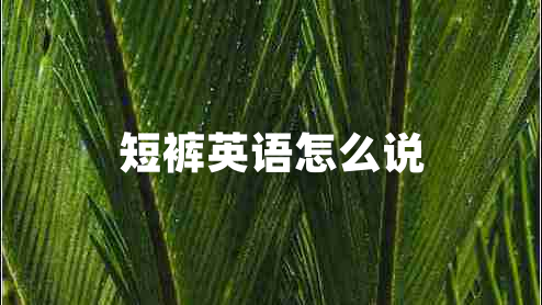 短褲英語(yǔ)怎么說(shuō)
