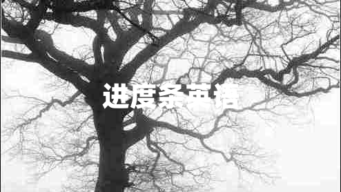 進(jìn)度條英語(yǔ)