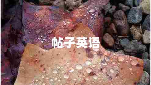 帖子英語(yǔ)