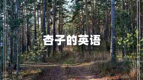 杏子的英語(yǔ)