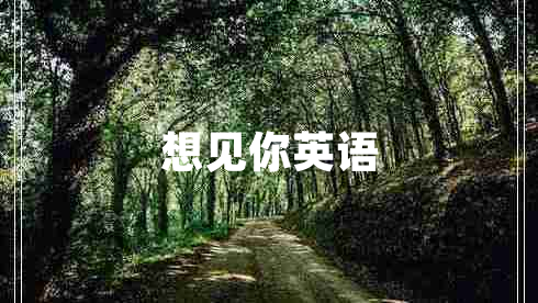 想見(jiàn)你英語(yǔ)