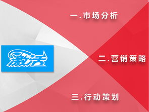 市場(chǎng)營(yíng)銷整體策劃方案