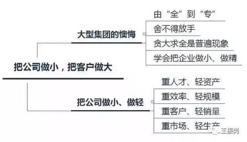商業(yè)聯(lián)盟策劃方案