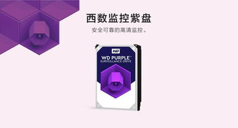 海康威視渠道大會(huì )策劃方案