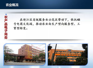 遷西縣農村文化產(chǎn)業(yè)策劃方案