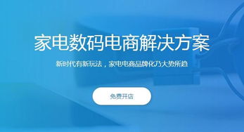 同城購策劃運營(yíng)方案