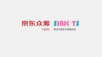 京東眾籌策劃方案
