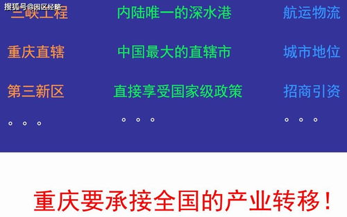 死飛固齒在新鄉(xiāng)市場的營銷策劃方案總結