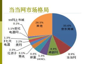 b2c企業(yè)策劃方案--當當網(wǎng)