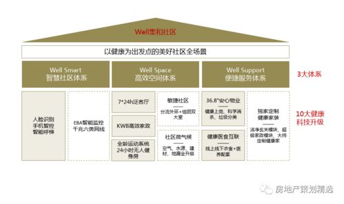 白內停策劃方案