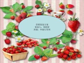 草莓銷(xiāo)售營(yíng)銷(xiāo)策劃方案
