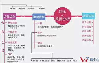 為偶像來了策劃新媒體營銷方案