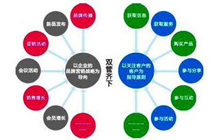 網(wǎng)站運(yùn)營策劃方案書