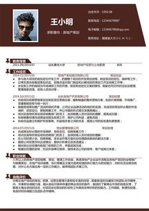 房地產(chǎn)方案策劃個(gè)人簡(jiǎn)歷模板