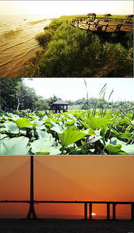 河南富景農業(yè)生態(tài)旅游策劃方案