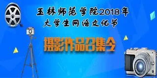 網(wǎng)絡(luò )文化節策劃方案