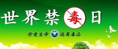 毒品宣傳活動(dòng)策劃方案