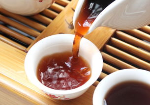 茶葉品鑒會(huì )策劃方案