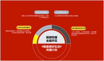新飲料策劃營(yíng)銷(xiāo)方案