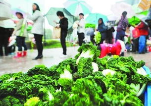 在小區做蔬菜活動(dòng)策劃方案