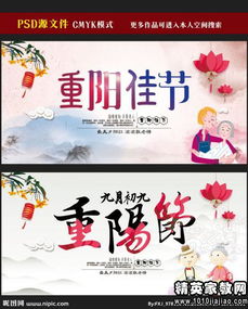 關(guān)愛(ài)老人創(chuàng  )意活動(dòng)策劃方案