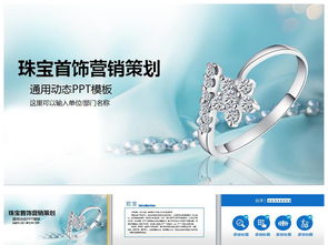飾品飾品的市場(chǎng)營(yíng)銷方案策劃
