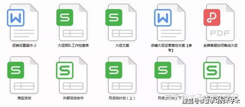 天貓經(jīng)營(yíng)策劃方案