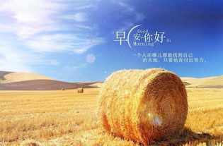 句子,鄉村,能量,精神
