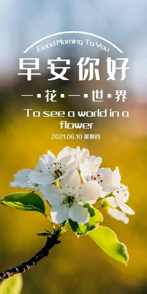 形容一天早上美好的句子,正能量一天早上的問(wèn)候,一天早上,我來(lái)到學(xué)校,補寫(xiě)句子